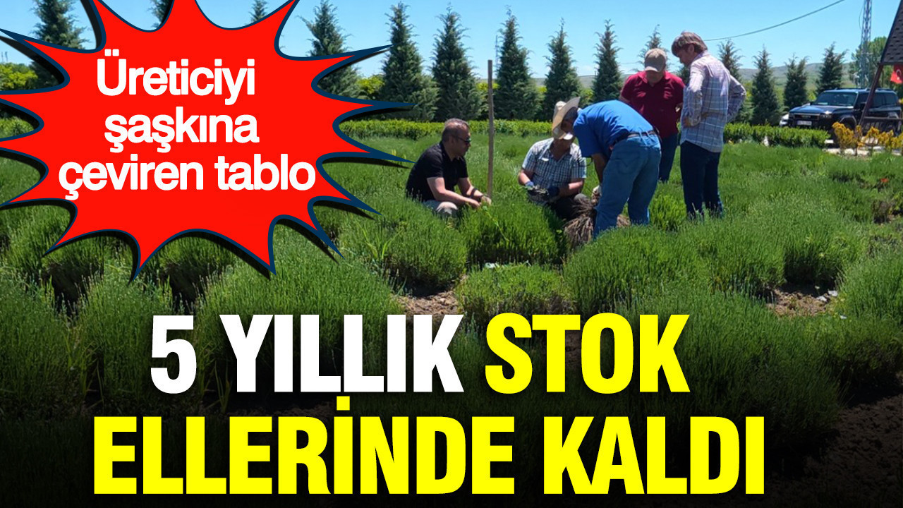 haber-gorseli-1787054822486