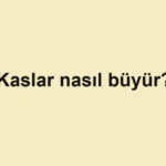 kaslar-nasil-buyur