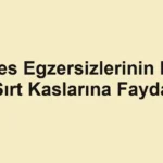 pilates-egzersizlerinin-karin-ve-sirt-kaslarina-faydalari